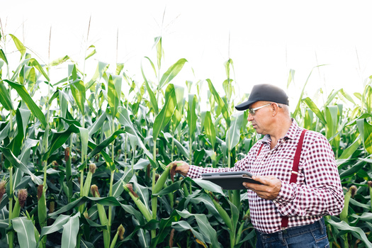 Spending on conservation programs is expected to range between $6 billion and $6.5 billion in 2023, according to the U.S. Department of Agriculture. (Adobe Stock)