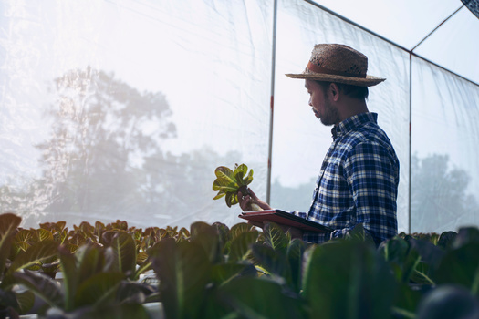 Black farmers ran 14% of all U.S. farms in 1920 and 1.6% in 2017. The Inflation Reduction Act includes more than $2 billion for farmers and ranchers who can show they have been discriminated against in USDA lending programs. (Adobe Stock)
