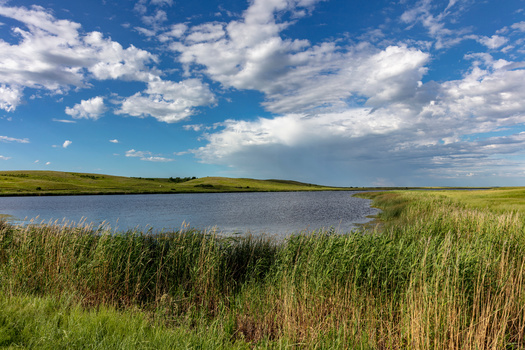 Wetlands are areas where water covers the soil, or is present either at or near the surface of the soil all year or for varying periods of time, including during the growing season, according to the U.S. Environmental Protection Agency. (Adobe Stock)