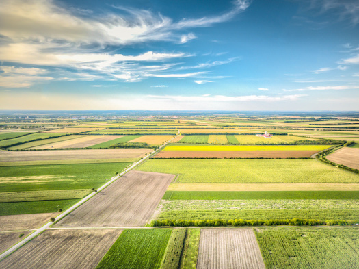 Black farmland ownership, which peaked in 1910 at 16 to 19 million acres, has shrunk to less than 3 million acres, according to FarmAid. (Adobe Stock)