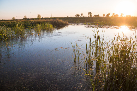 Since 2011, Ohio has allowed companies to lease state land for oil and gas drilling. (Adobe Stock)