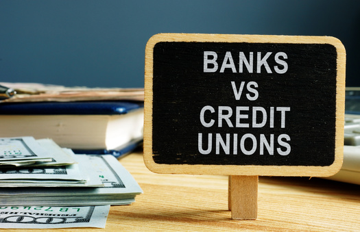 GoWest Credit Union Association represents about 16.5 million members across six states. (Vitalii Vodolazskyi/Adobe Stock)