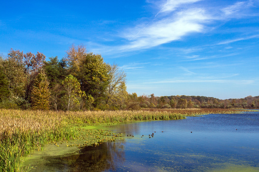 The U.S. Interior Department manages 400 national parks, 560 national wildlife refuges and nearly 250 million acres of other public lands in America. (Adobe Stock) 