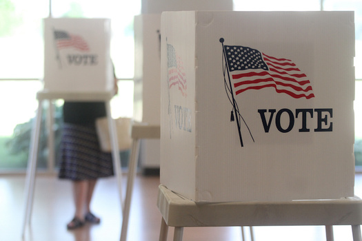 ERIC has operated as a nonprofit membership organization created by state election officials to help improve the accuracy of state voter rolls since 2012, according to its website. (Adobe Stock)