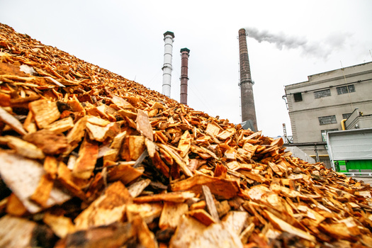 The European Union is the world's largest consumer of wood pellets for energy. (Rokas/Adobe Stock)