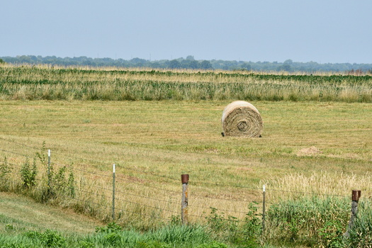 The National Oceanic and Atmospheric Administration and other national agencies will host a webinar focusing on past and current drought conditions and the impact on rainfall, temperature and precipitation in the Midwest and Great Lakes regions. (Adobe Stock)