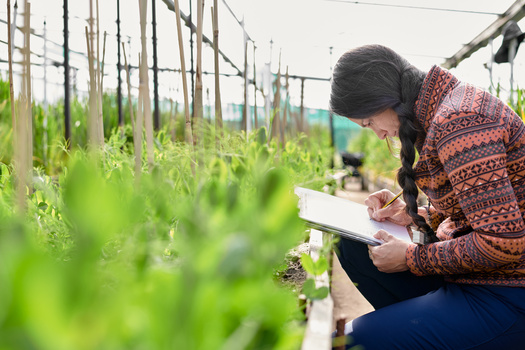 The most recent Farm Bill covered areas such as agricultural conservation, trade and foreign food assistance, farm credit and research. (Adobe Stock)