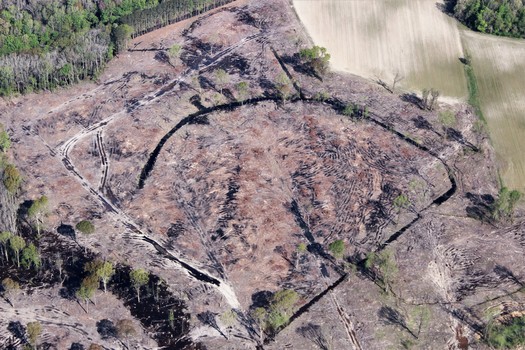 Clear-cutting a forest can leave behind a scarred landscape, as seen in this 2019 photo from an area linked to the Enviva Northampton wood pellet plant in Garysburg, North Carolina. (Dogwood Alliance)