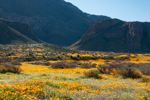 The Castner Range contains cultural sites that document the history of Native tribes, while also providing habitat for wildlife such as the golden eagle, mountain lions and the western burrowing owl. (Dale/AdobeStock)