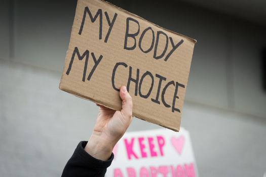 Idaho is surrounded by states where abortion is legal, including Montana, Oregon and Washington. (trac1/Adobe Stock)