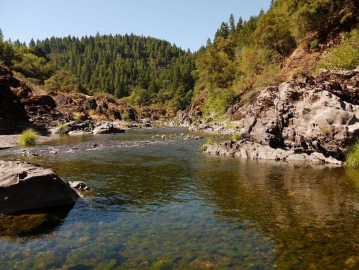The English Ridge proposed wilderness in Mendocino County is an example of land that could be protected administratively by the Bureau of Land Management, in lieu of congressional action. (Cal Wild)