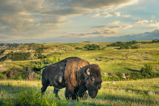 More than 90% of public lands managed by the BLM are currently available to be leased to oil and gas developers. (Adobe Stock)