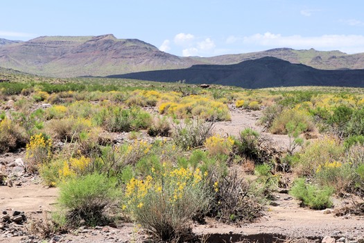 President Joe Biden used his authority under the Antiquities Act to grant permanent protection for Avi Kwa Ame. (Photo courtesy Bertha Gutierrez) 