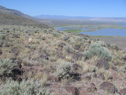 The Greater Hart-Sheldon area in southeastern Oregon is home to more than 350 species. (brx0/Flickr)