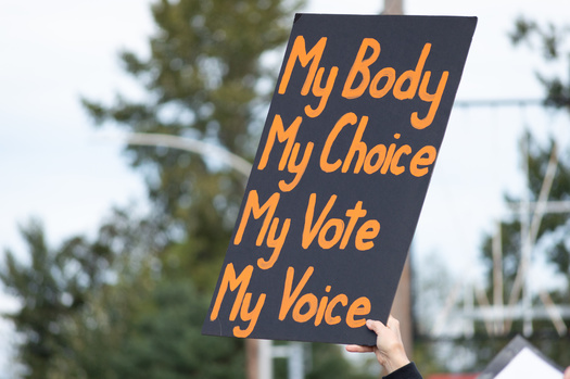 Since the U.S. Supreme Court overturned Roe v. Wade last year, many states have passed near-total bans on abortion, with some states criminalizing the procedure and those who assist others in obtaining one. (traci1/Adobe Stock)