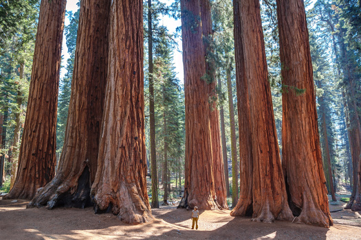 This year's theme for National Parks Week is 