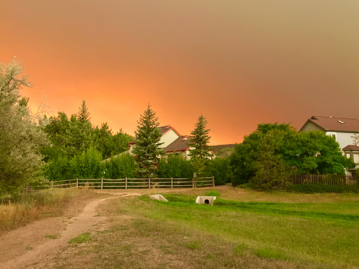 Fire hardening a home also involves managing vegetation within 100 feet of the home. (jryanc10/Adobe Stock)