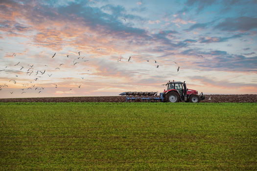 In recent weeks, House and Senate committees in Congress have been holding hearings on the Farm Bill, which faces a fall deadline for reauthorization. (Adobe Stock)