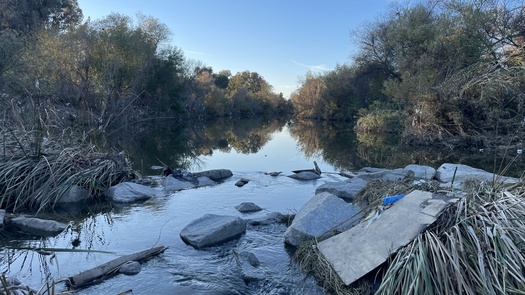 A section of a natural Los Angeles River inspires debate over whether more of the river could look this way. (Caleigh Wells)
