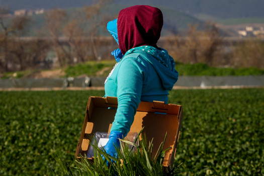 Washington state implemented rules to prevent farmworkers from the hot summer weather. (Armstrong Photo/Adobe Stock)