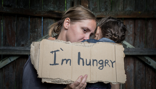 Arkansas is one of nine states with levels of food insecurity above the national average from 2019-2021, according to the USDA's Economic Research Service. (disha1980/Adobe Stock)