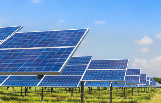 The U.S. Department of Energy Solar Energy Technologies Office is researching the opportunities and tradeoffs of agrivoltaics. (Adobe Stock)