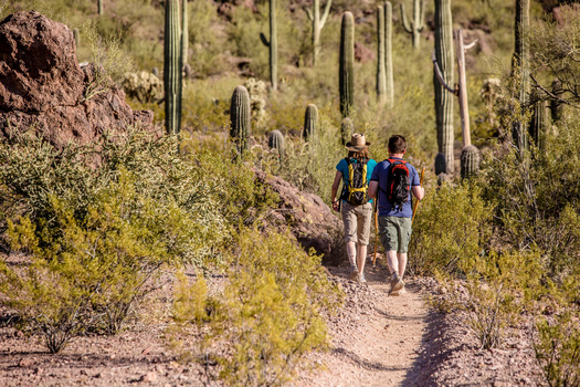 According to Arizona Interagency Wildfire Prevention, starting in late April or May many areas across the state will implement seasonal fire restrictions and then typically rescind them in September or October. (Scott Griessel/Adobe Stock) 