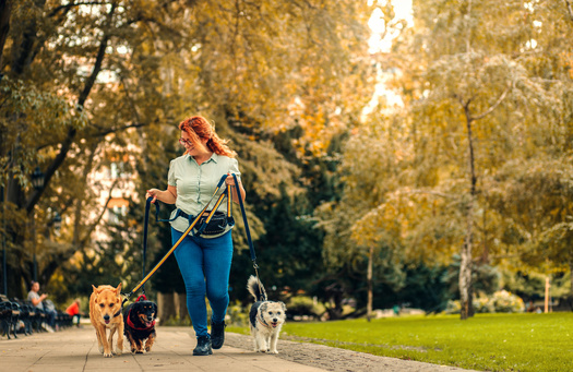 An environmental advocate says nature and quiet spaces are important to businesses looking for new locations to expand or build. (Adobe stock)