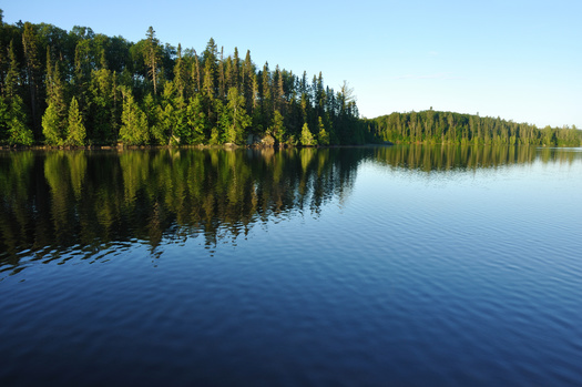 In addition to shielding waterways from harmful sources, a new Minnesota environmental spending bill includes funding for planting trees and other efforts to accelerate carbon sequestration. (Adobe Stock)