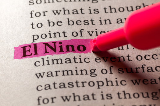 The El Nio weather pattern, which produces unusually warm water in the Pacific Ocean around Christmas, was originally recognized by fishermen off the coast of South America in the 1600s. (FengYu/AdobeStock)
