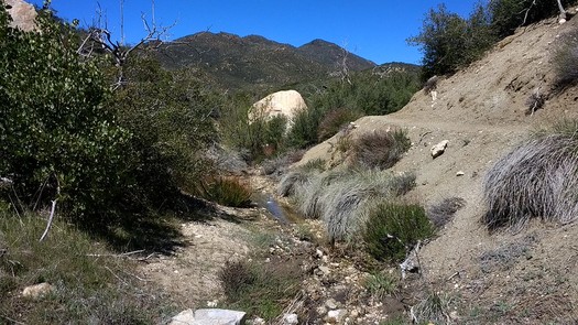 A new ruling from the U.S. Supreme Court means ephemeral streams, such as this one in the mountains east of San Diego, are no longer protected by the Waters of the United States rule.  (Chris Hunkeler/Flickr)