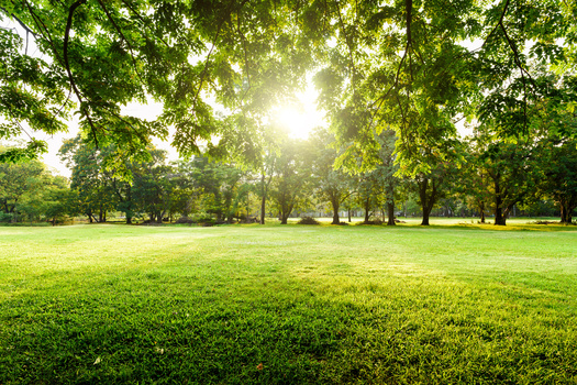 Researchers found cities with the highest ParkScore rankings are healthier places to live based on the metrics of physical inactivity and mental health. (Adobe Stock)