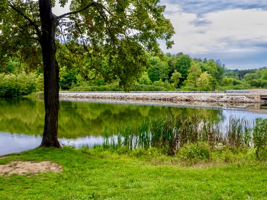 There used to be twice as many marshes and wetlands in Pennsylvania as there are today, according to the U.S. Geological Survey. (Christina Saymansky/Adobe Stock)