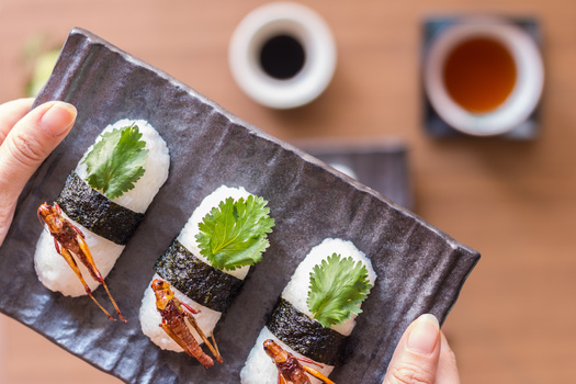 The Ultimate Sushi Kit  Smithsonian Institution