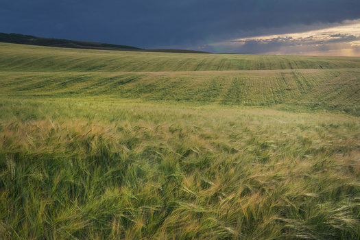 The Snake River plain, which will receive restoration funds from BLM, is home to diverse landscapes.(Danita Delimont/Adobe Stock)