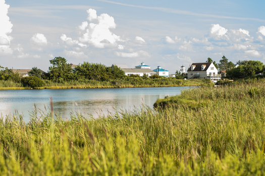 According to the U.S. Environmental Protection Agency wetlands cover 5.5% of the 48 contiguous states, with one million acres of wetland in Virginia. (Adobe Stock)