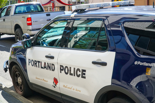 Portland Police will move forward initiatives including Portland Ceasefire and Cure Violence to tackle gun violence. (4kclips/Adobe Stock)