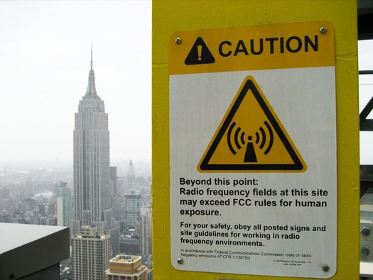 Despite some studies illuminating the health impacts of non-ionizing radiation from cellphones and other wireless devices, the Food and Drug Administration maintains there is no association between exposure to radio frequency from cellphone use and health problems. (Ernst Moeksis/Wikimedia Commons)