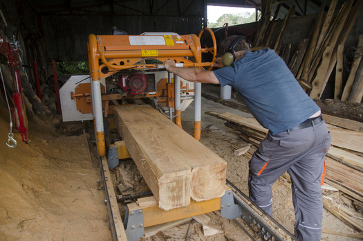 The Urban Wood Network was formally established in 2016 after multiple state chapters were awarded a USDA Forest Service grant. (Adobe Stock)