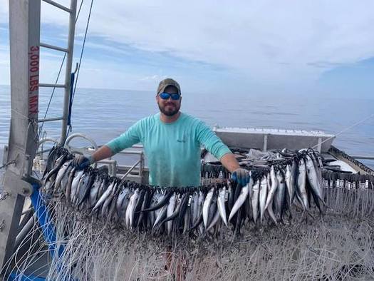 Barry Walton, a Ph.D. student at Florida State University, is studying how two popular recreational fish species, red drum and spotted seatrout, share resources in the Apalachicola Bay System. (Barry Walton) 