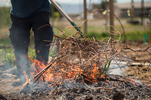 Controlled burns were part of the practices of the indigenous people to Washington state for maintaining the landscape. (heidi/Adobe Stock)