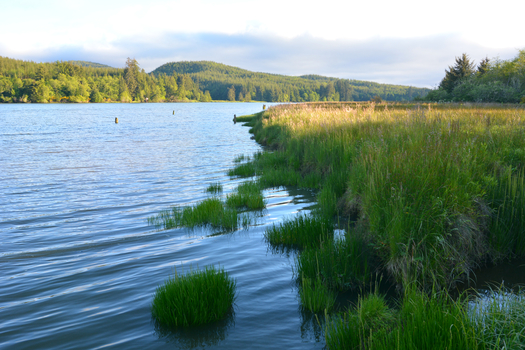 The Yaquina Bay area is home to about 15,000 Oregonians. (Bobby Hayden)