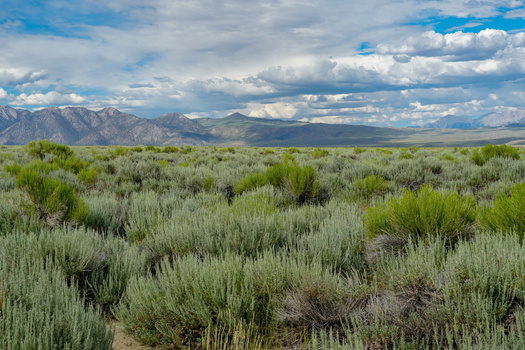 In addition to projects supported with the Inflation Reduction Act funding, the BLM will prioritize projects funded under the Bipartisan Infrastructure Law in the respective landscape. (Adobe Stock)