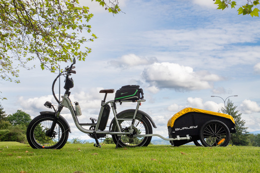 As of May, more than 5,500 vouchers toward purchasing electric-powered bicycles had been redeemed. (Adobe Stock)