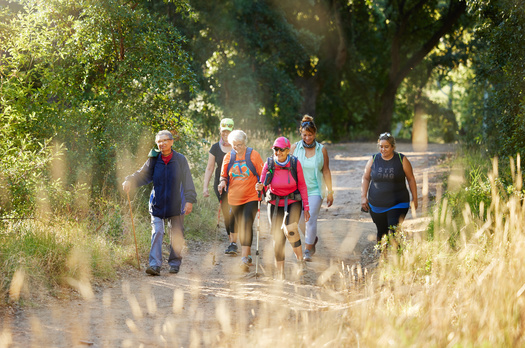 AARP experts say greater mental well-being, achieved through activities such as hiking, is associated with reduced dementia risks. (Adobe Stock)