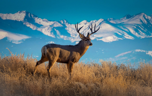 NC Sportsmen Keep Public Lands in Public Hands / Public News Service