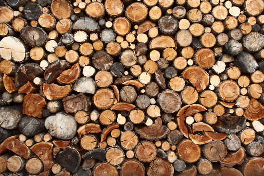 Burning wood releases fine particulate matter, which is easily inhaled and can lodge deep in the lungs, where it can cause chronic heart and lung disease and trigger asthma attacks, heart attacks, and premature death. (Adobe Stock)