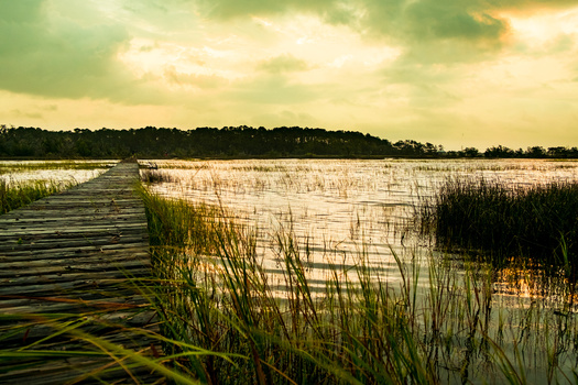 Research indicates the marshes provide an estimated protective value of more than $7,000 per acre, annually, from storm surge and flooding alone. (Davide Bonaldo/Adobe Stock)