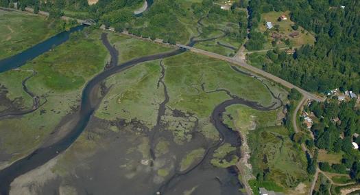 The Duckabush River is cut off from nearby floodplains and wetlands by roads on the Olympic peninsula. (Washington Department of Ecology)