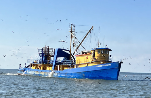 Louisiana has the most narrow menhaden buffer zone among nearby Gulf states. (Theodore Roosevelt Conservation Partnership)